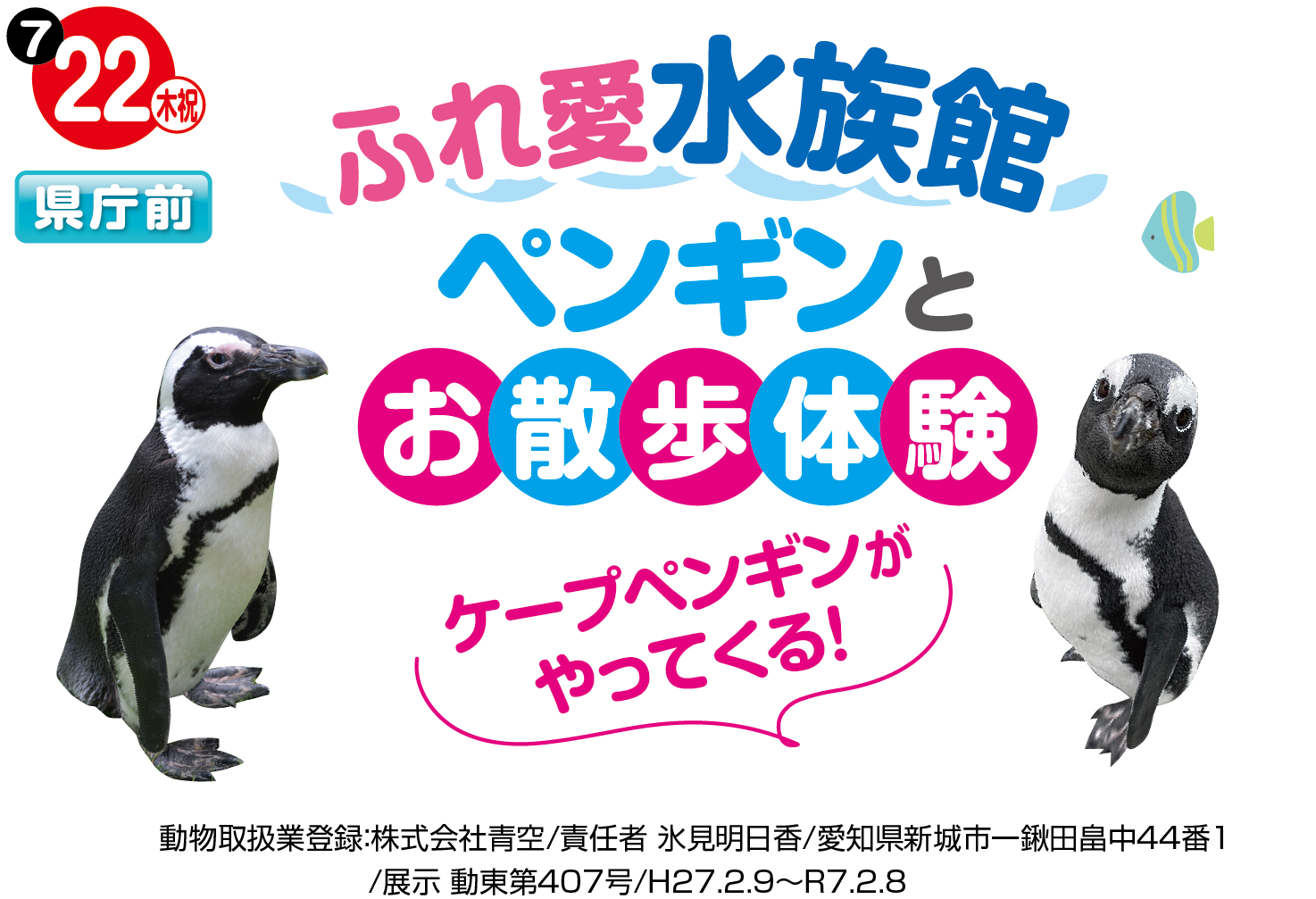 7月22日 木 祝 ふれ愛水族館 岐阜ハウジングギャラリー 岐阜県 岐阜市 各務原市 の総合住宅展示場