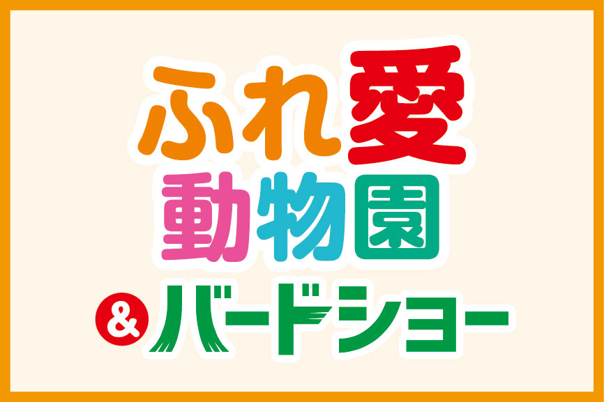 イメージ画像