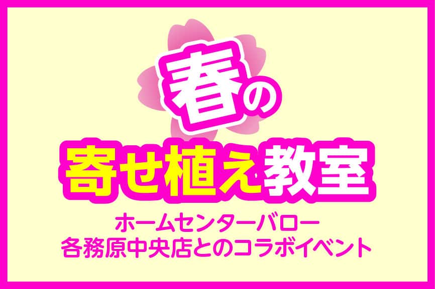 イメージ画像